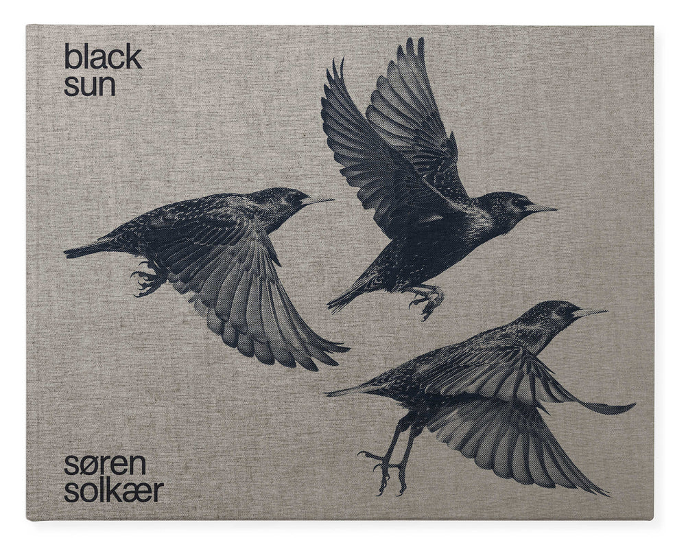 D1 BLACK SUN