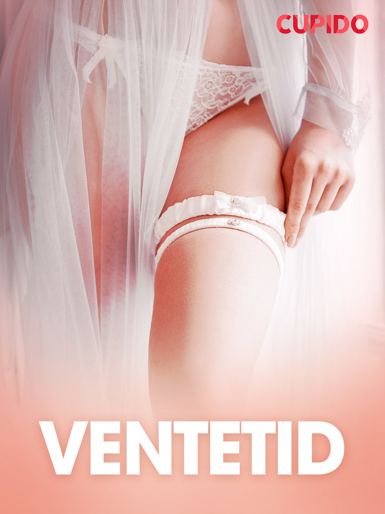 Ventetid - erotiske noveller