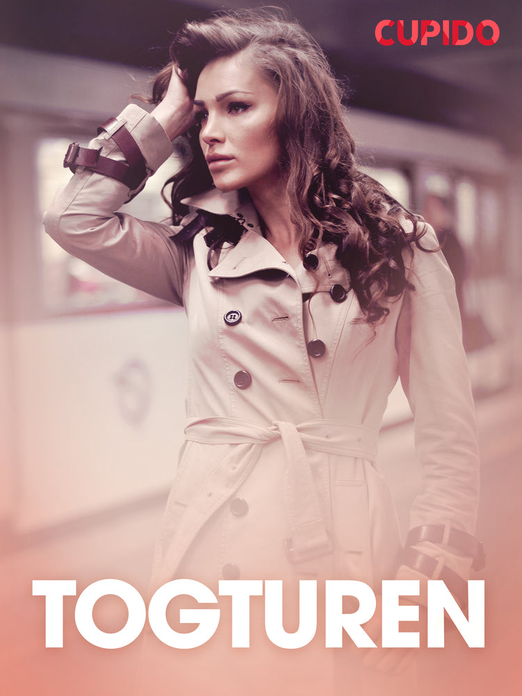 Togturen - erotiske noveller