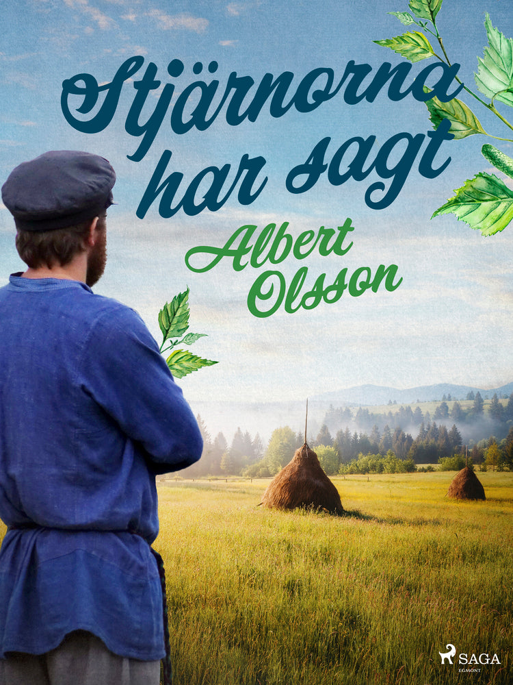 Stjärnorna har sagt