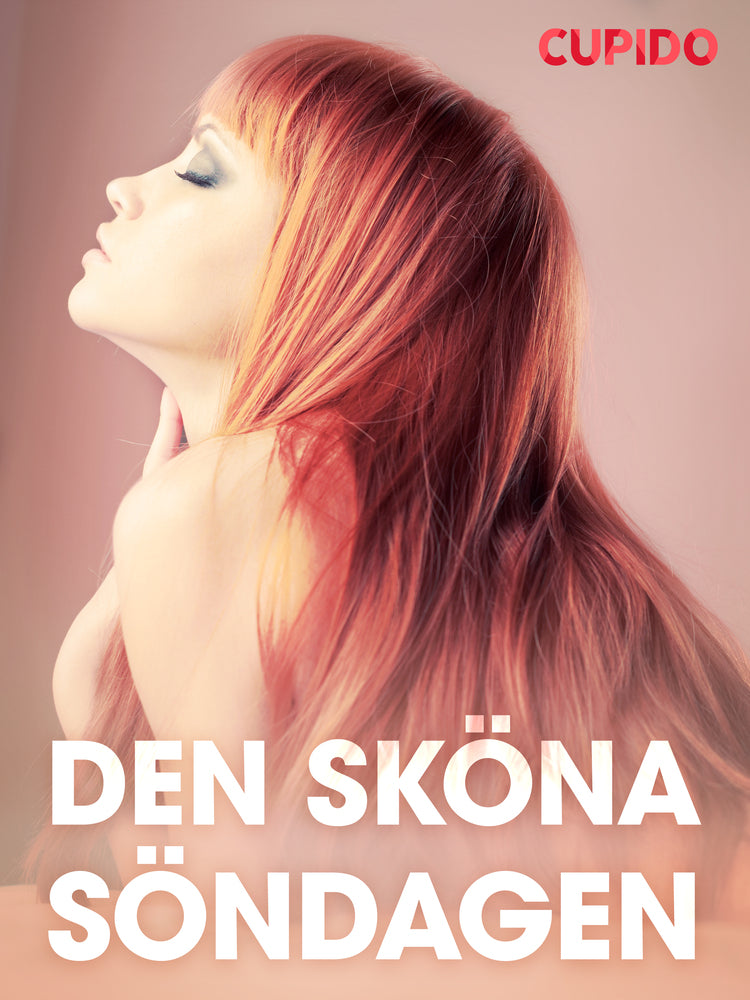 Den sköna söndagen - erotiska noveller