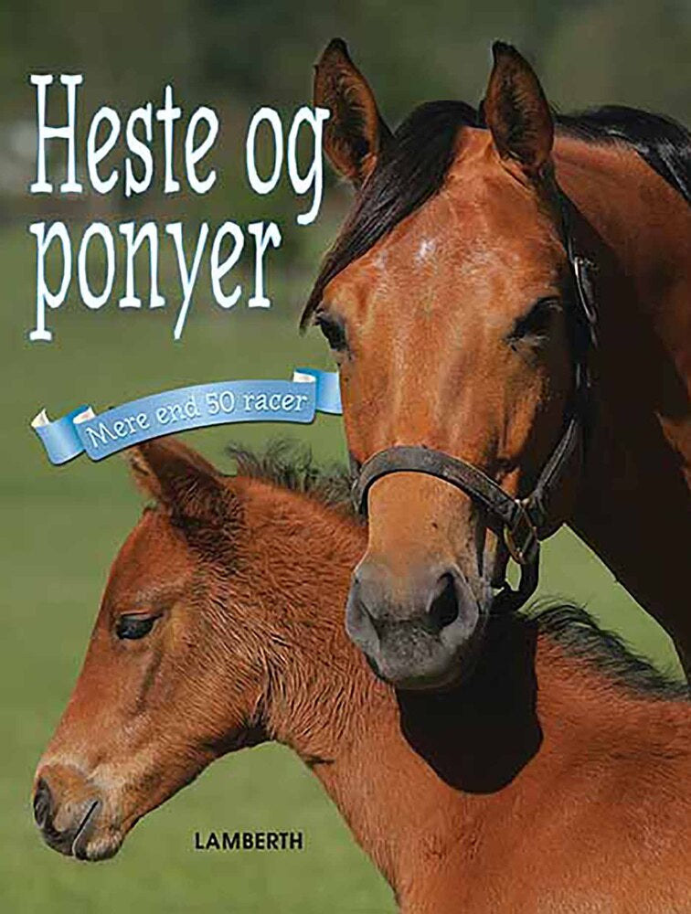 Heste og ponyer