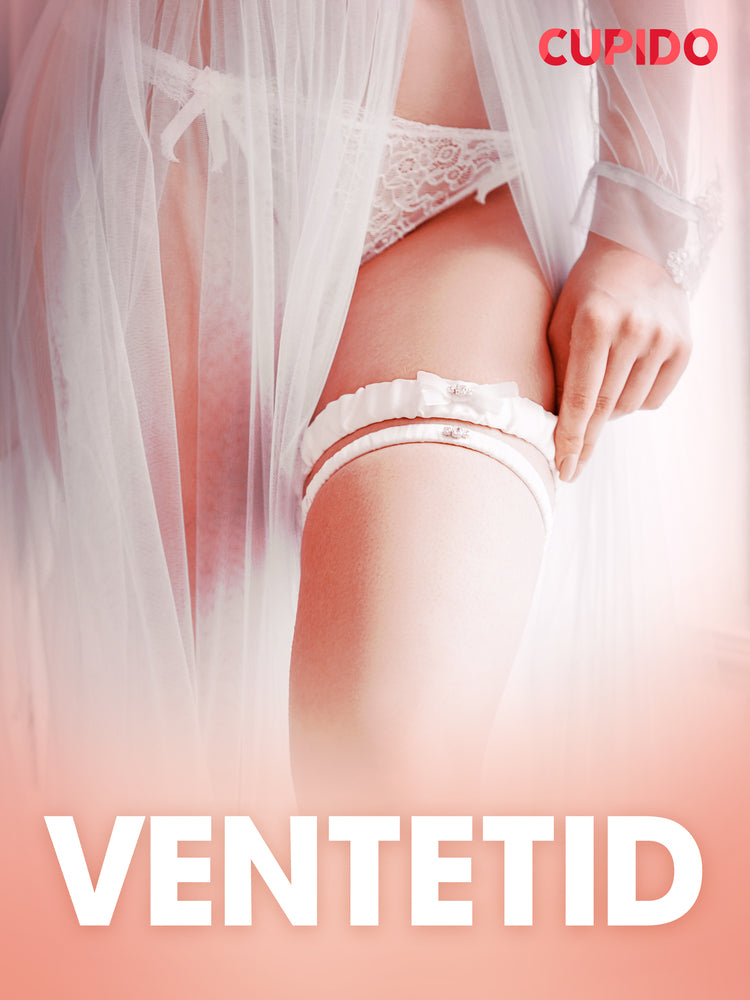 Ventetid - erotiske noveller