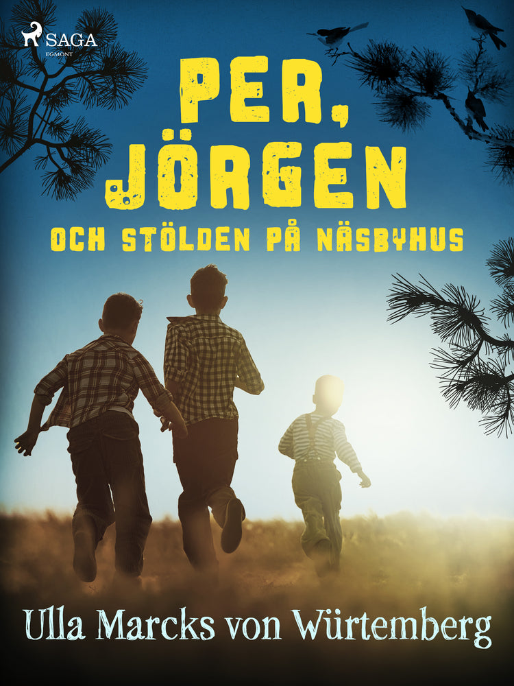 Per, Jörgen och stölden på Näsbyhus