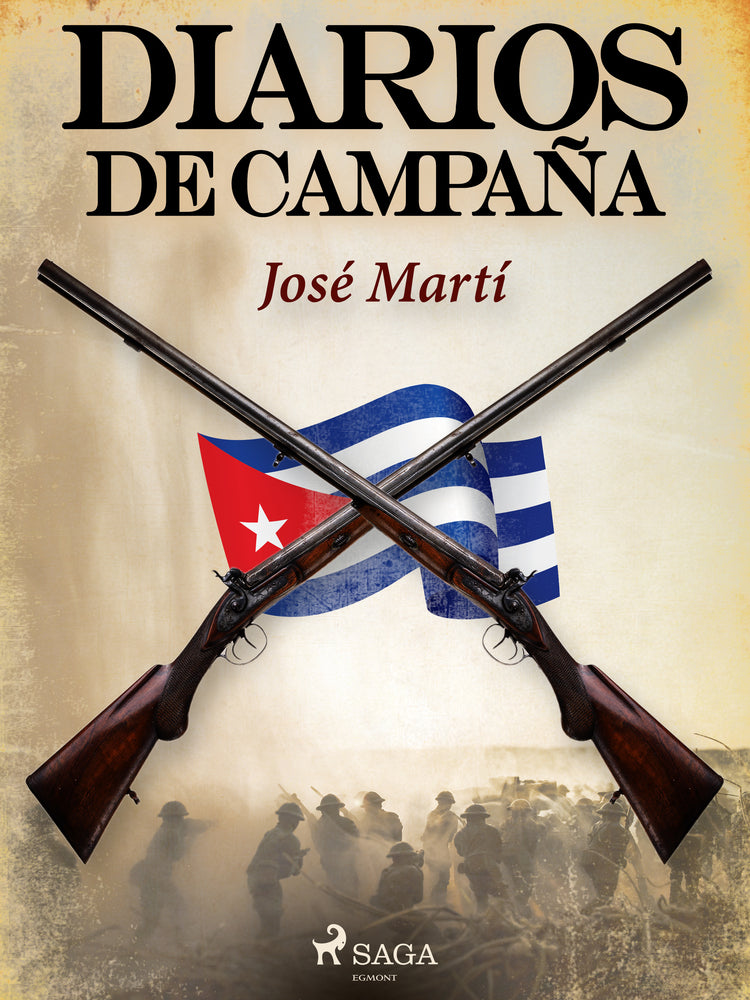 Diarios de campaña