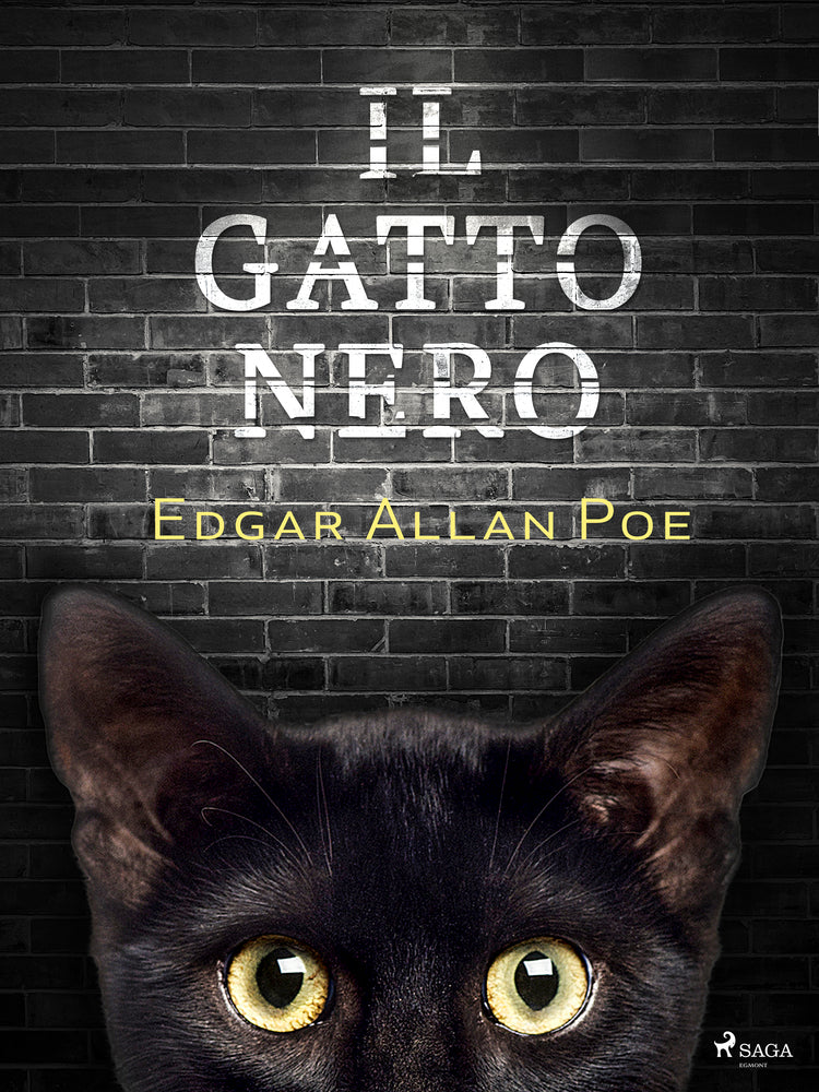 Il gatto nero