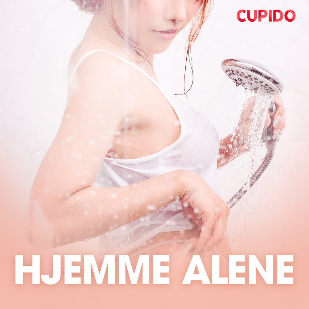 Hjemme alene - erotiske noveller