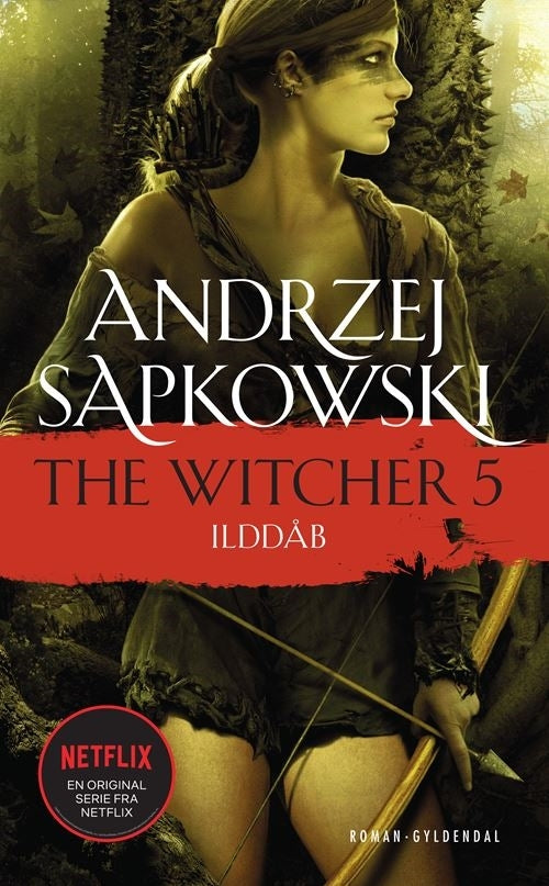 THE WITCHER 5