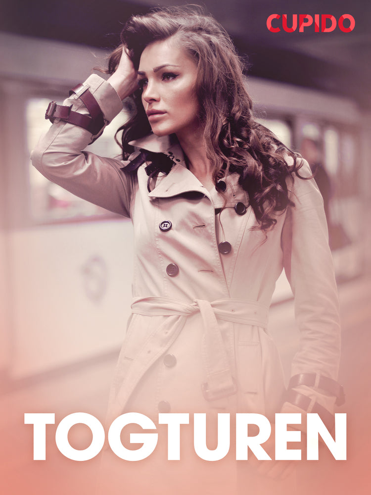 Togturen - erotiske noveller