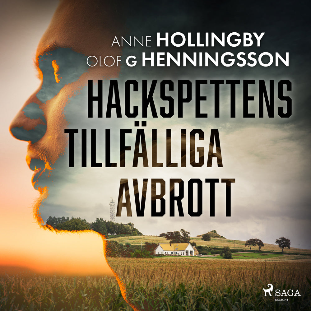 Hackspettens tillfälliga avbrott