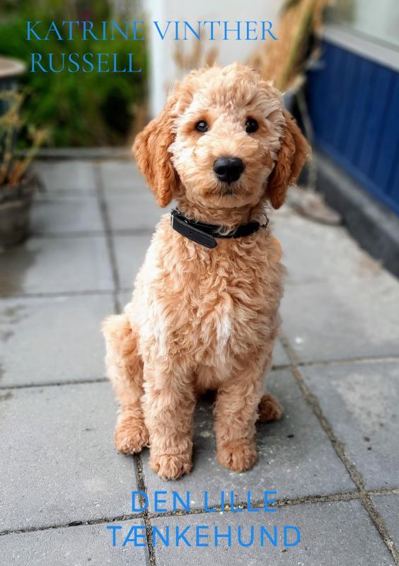 Den Lille Tænkehund