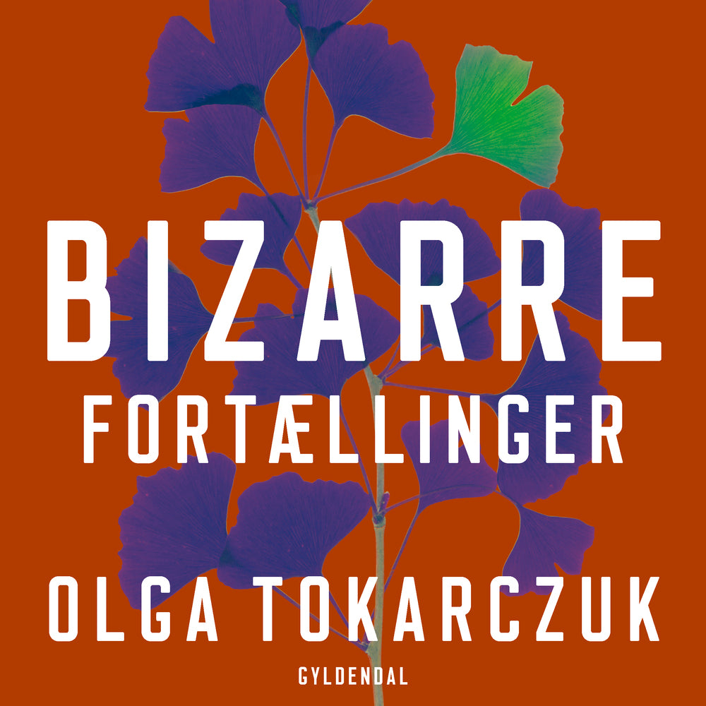 Bizarre fortællinger