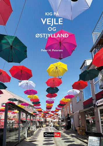 Kig på Vejle og Østjylland