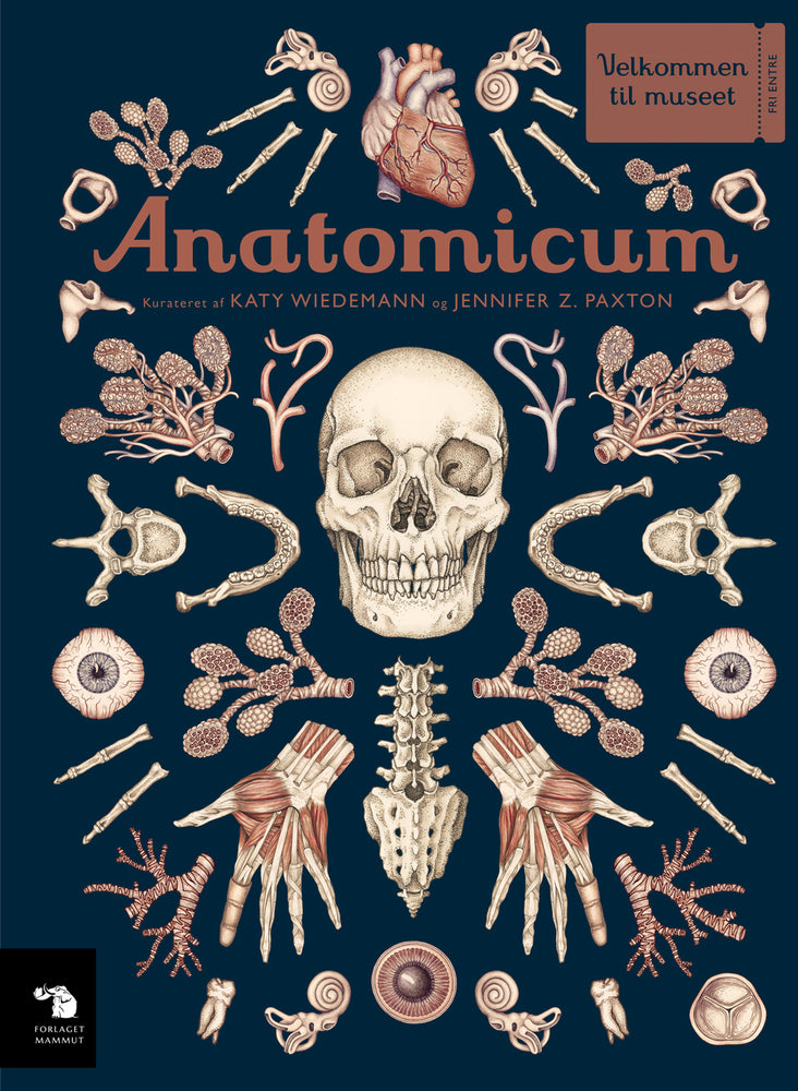 D1 Anatomicum