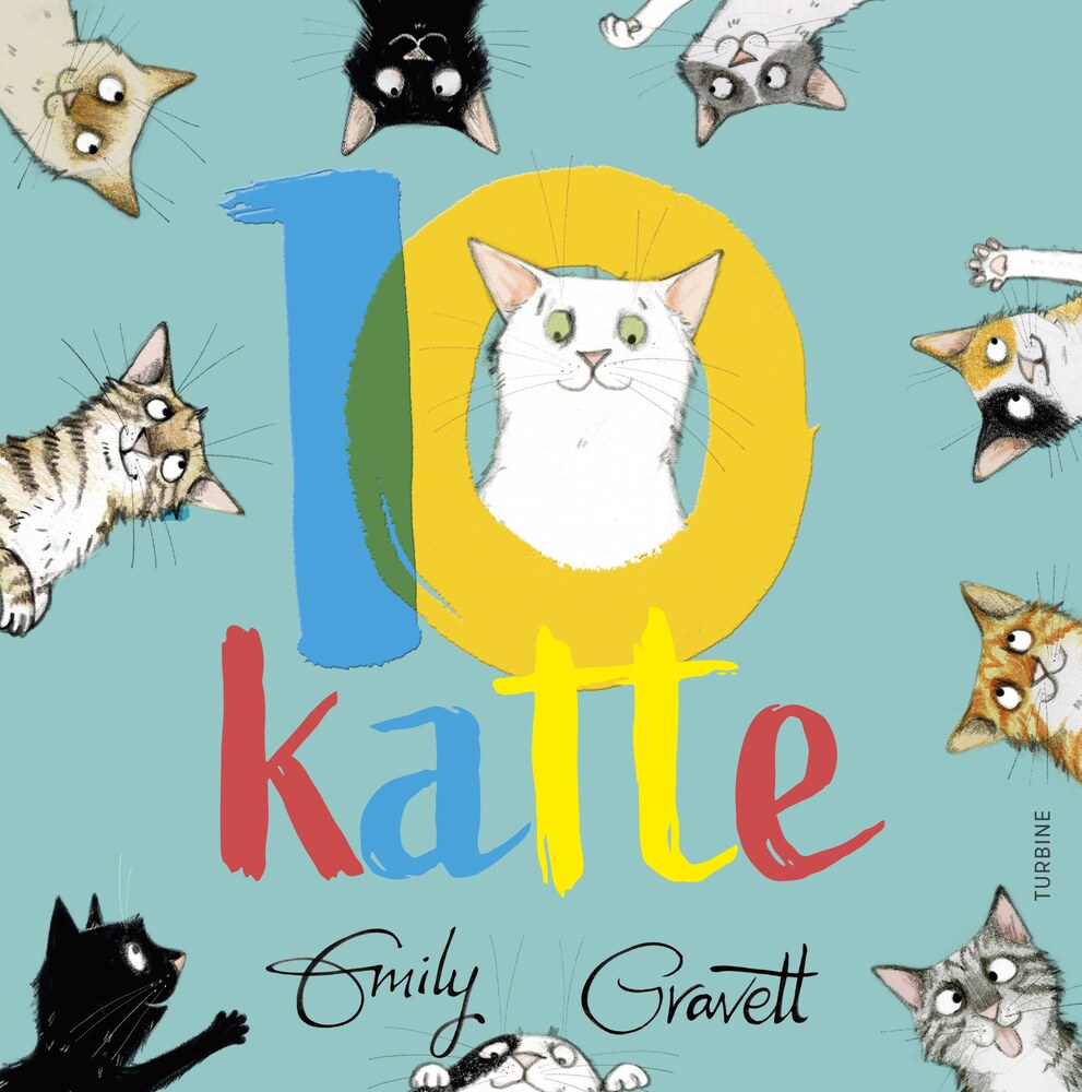 10 katte
