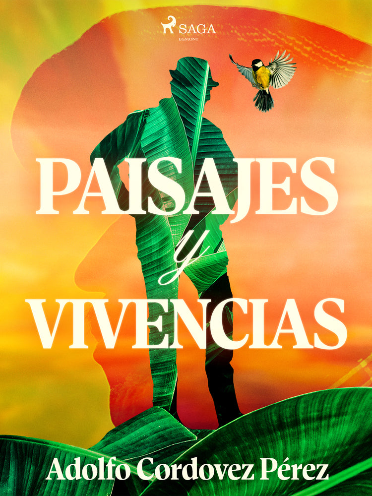 Paisajes y vivencias