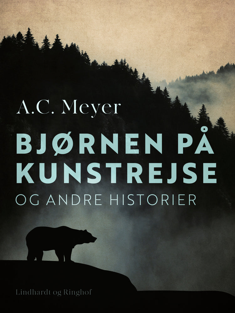 Bjørnen på kunstrejse og andre historier