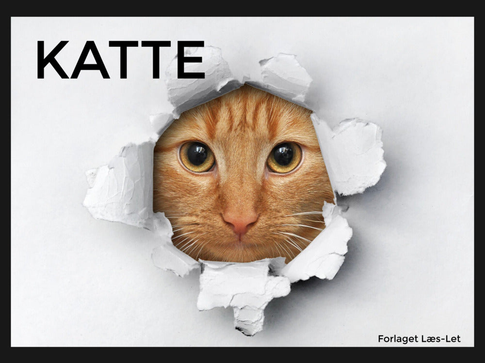 Katte