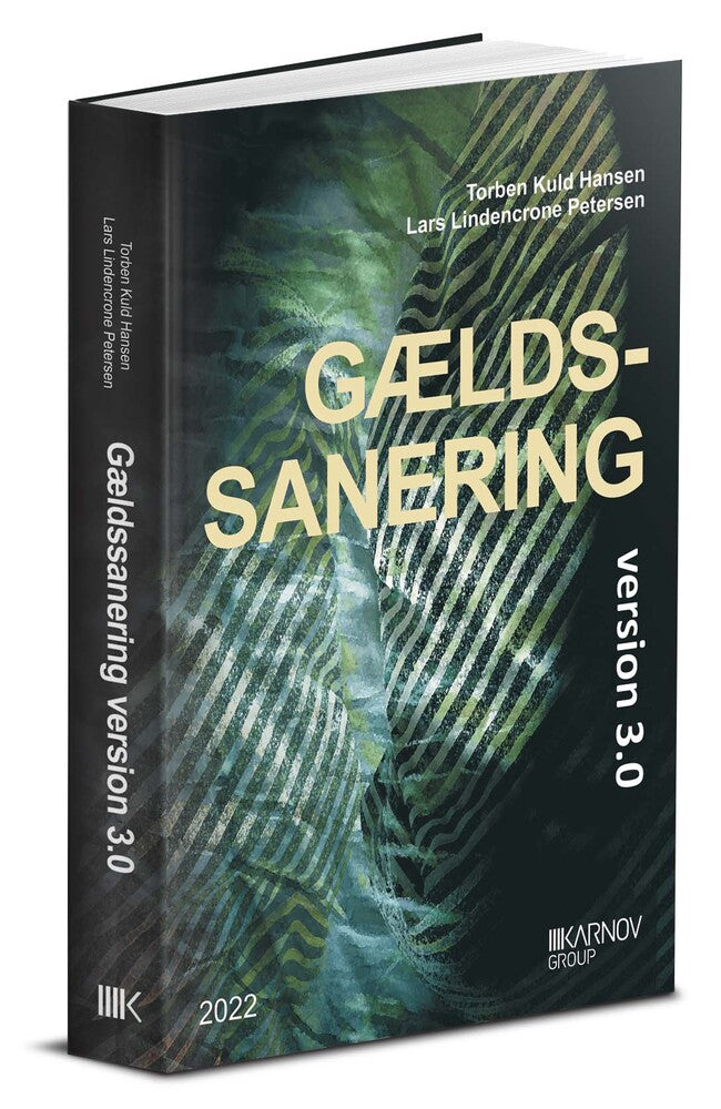 Gældssanering version 3.0