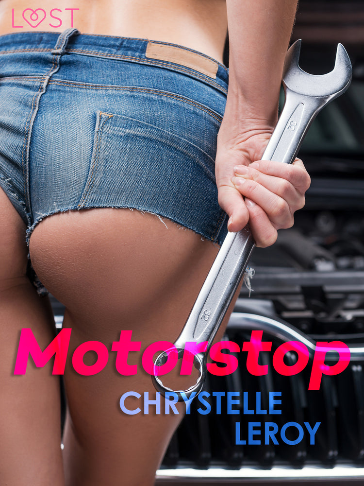 Motorstop – erotisk novelle