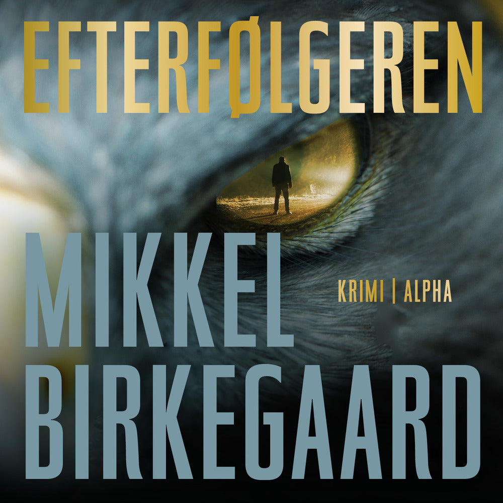 Efterfølgeren
