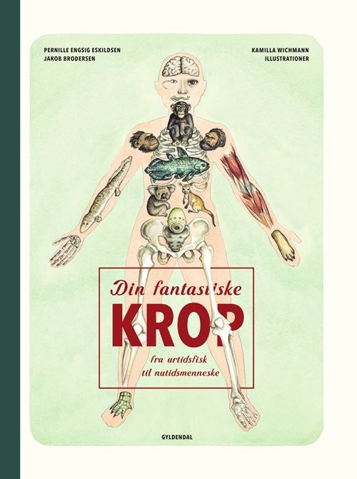 Din fantastiske krop - fra urtidsfisk til nutidsmenneske