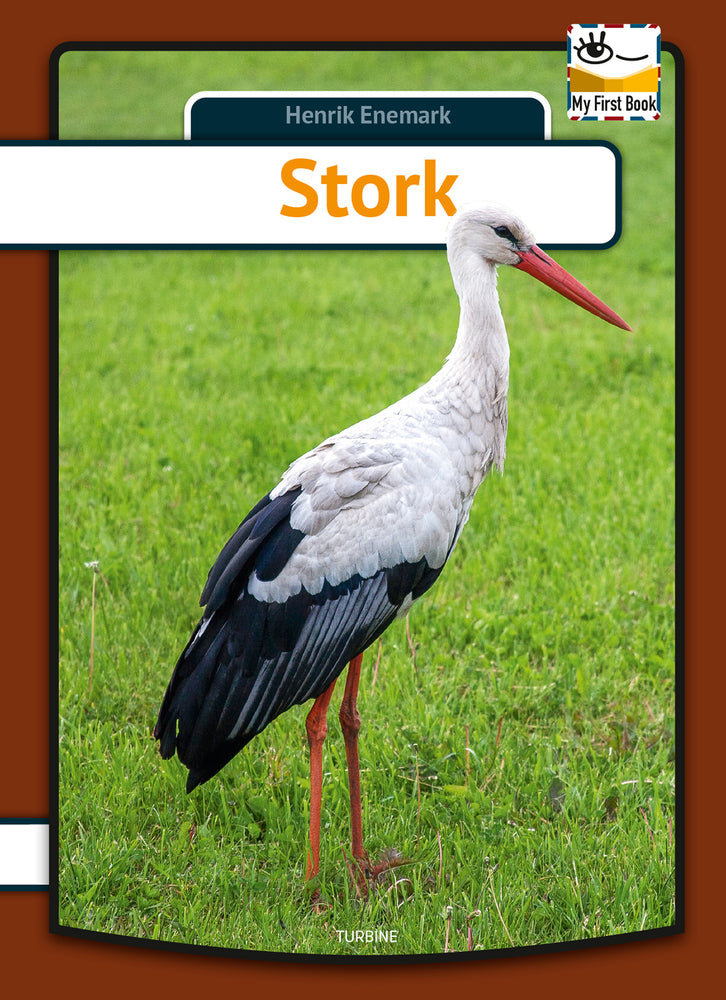 Stork
