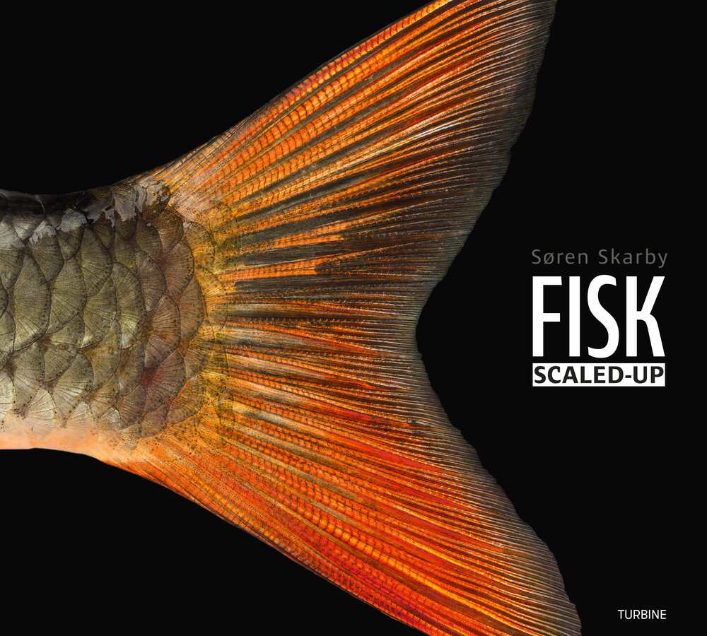 FISK – scaled-up