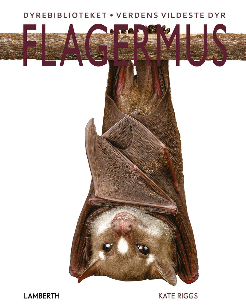 D1 Flagermus
