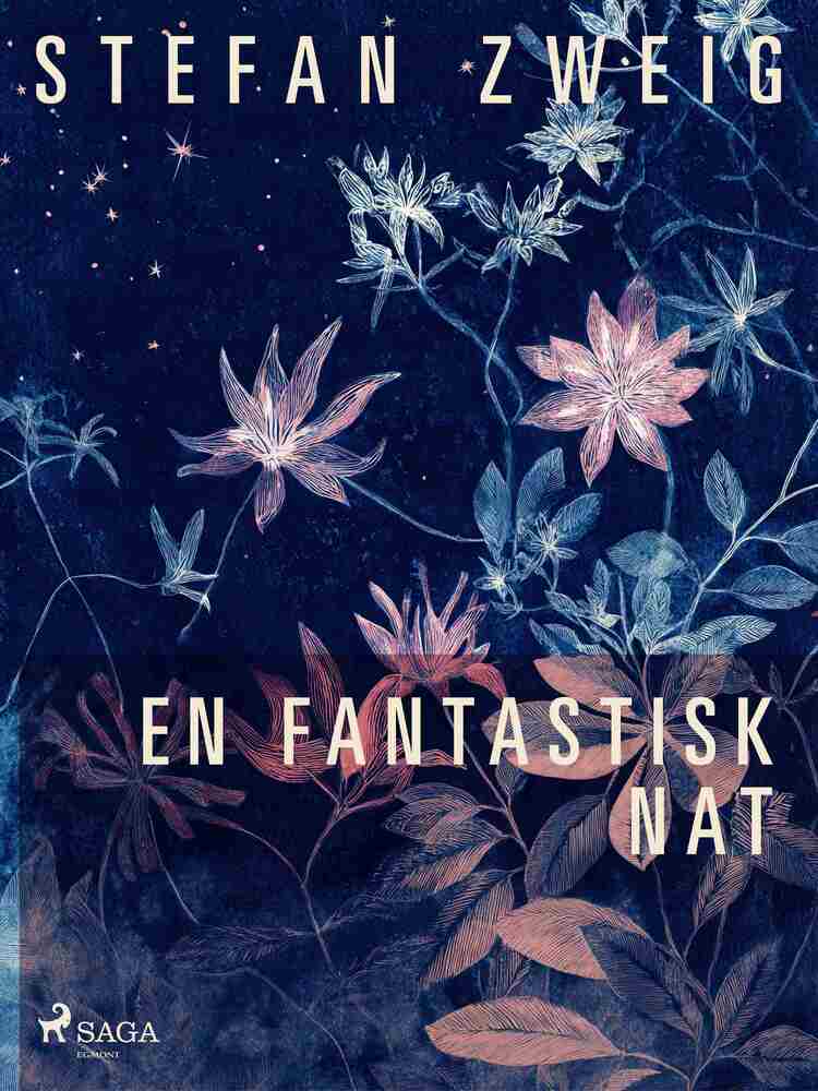 En fantastisk nat
