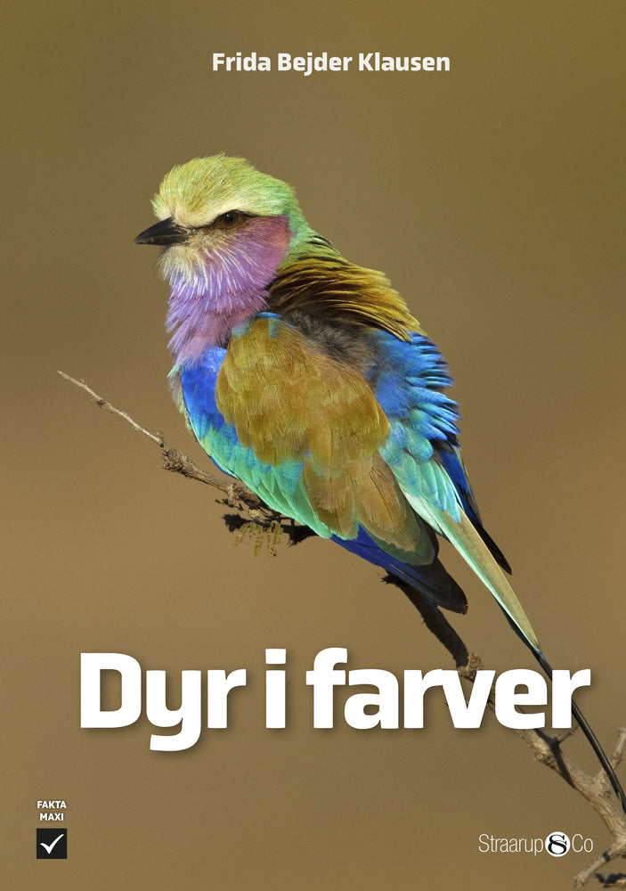 Dyr i farver