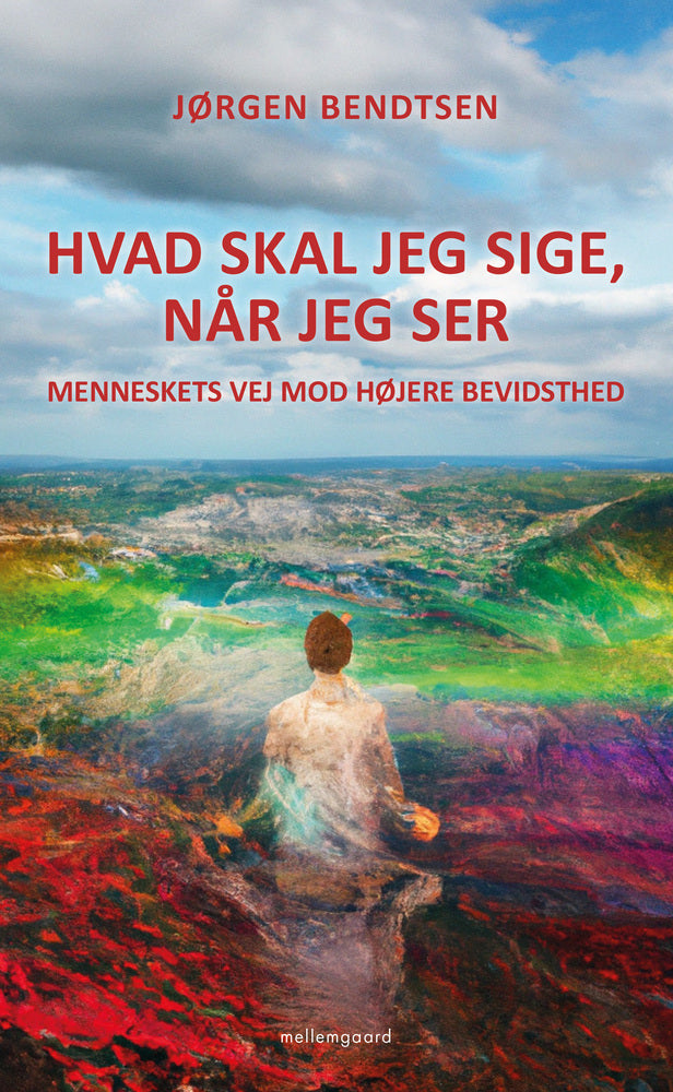 HVAD SKAL JEG SIGE, NÅR JEG SER?