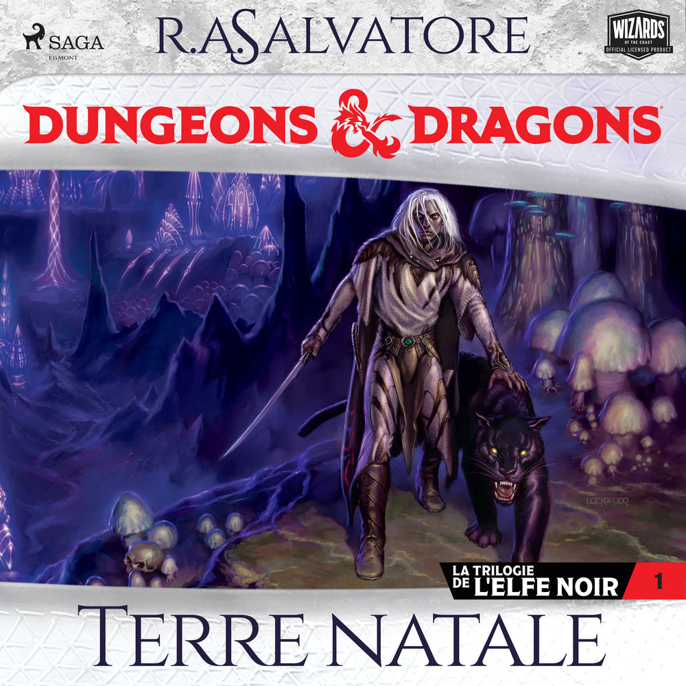 La Trilogie de l'Elfe noir – tome 1 – Terre natale