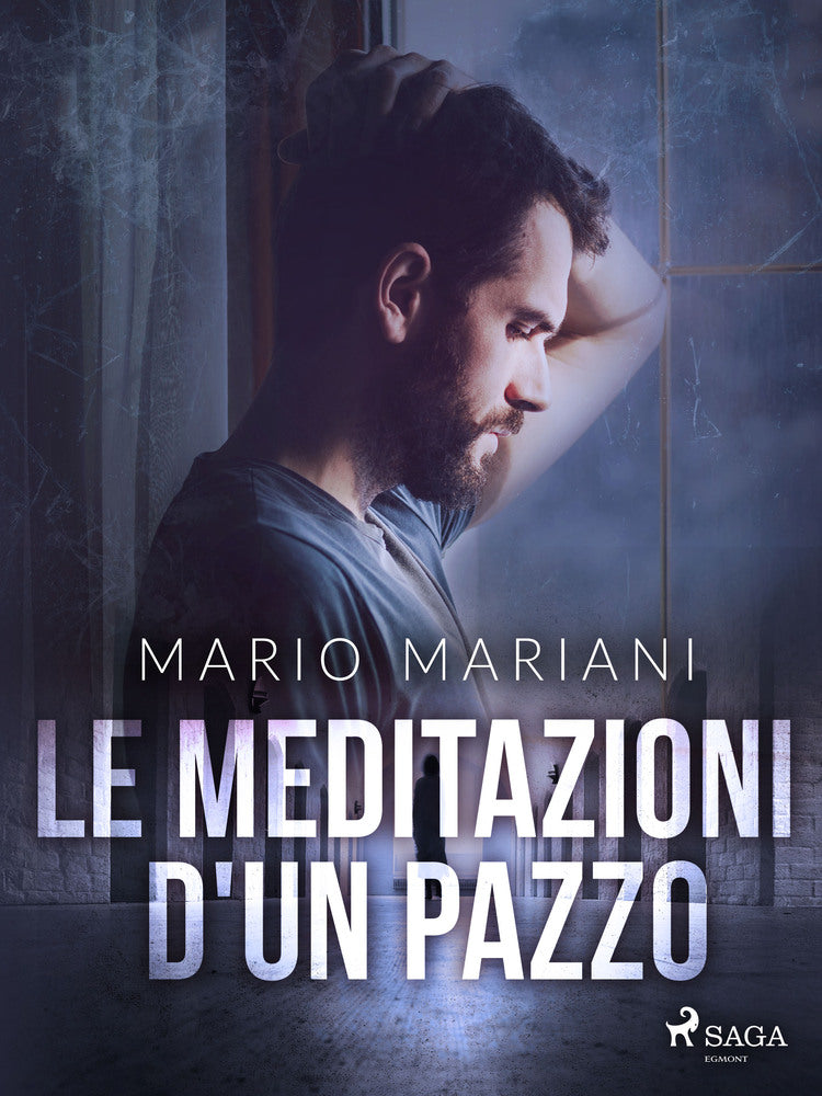 Le meditazioni d'un pazzo