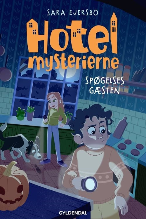Hotelmysterierne - Spøgelsesgæsten