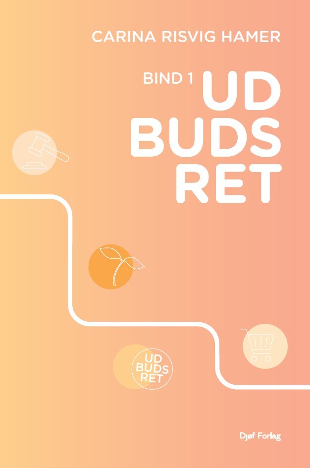 Udbudsret