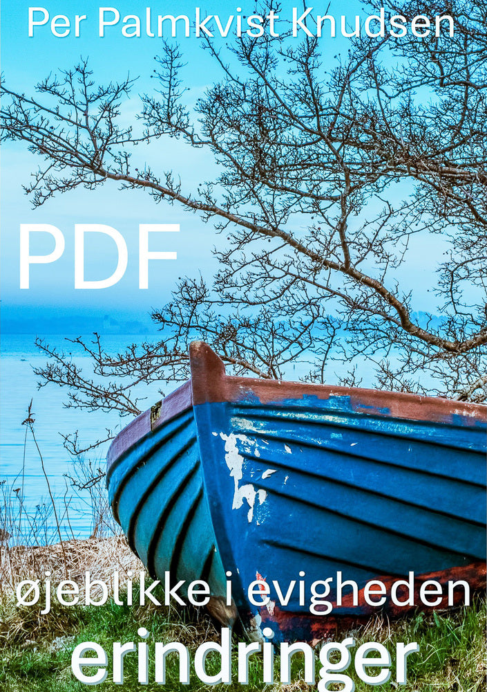 øjeblikke i evigheden PDF