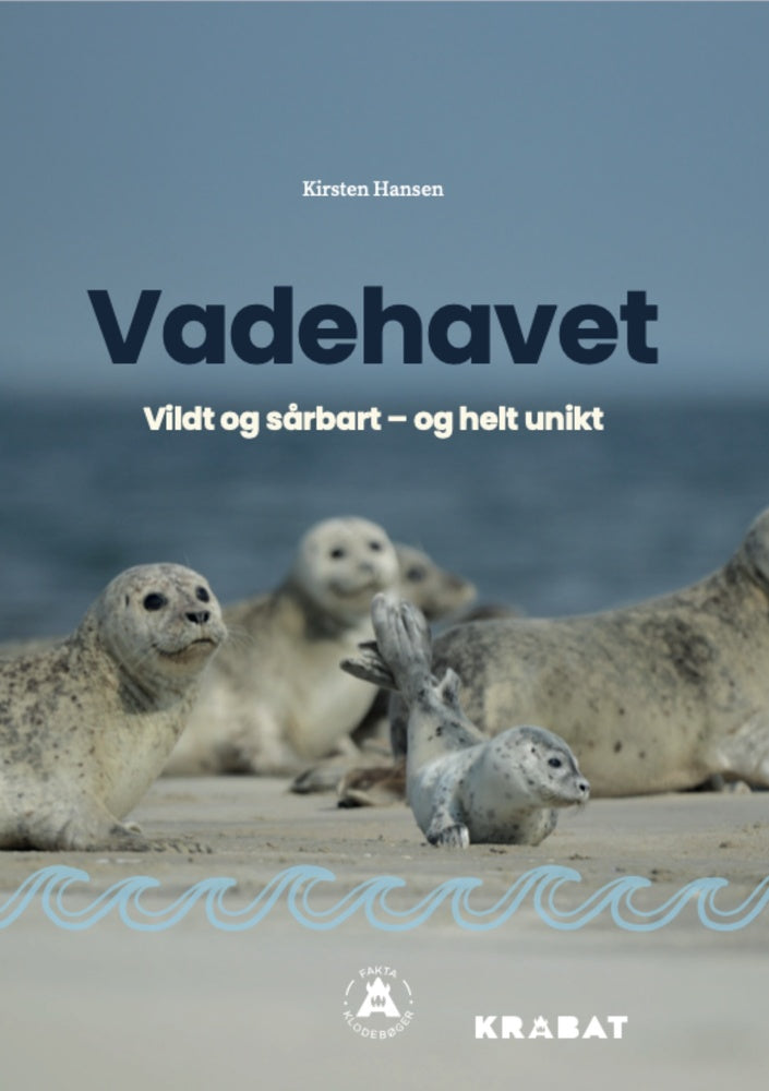 Vadehavet