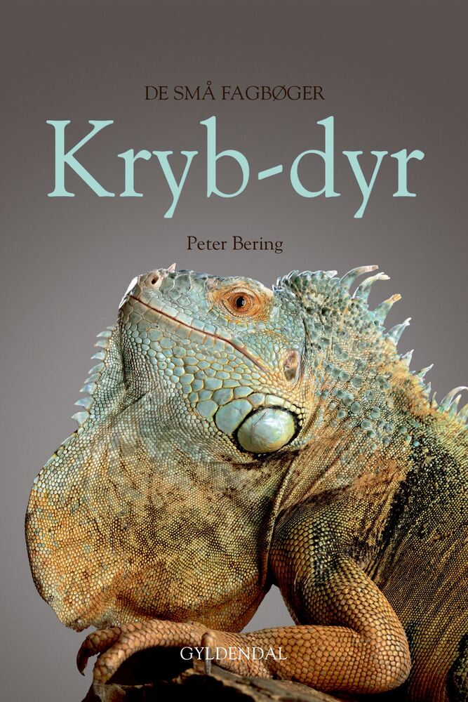 Krybdyr