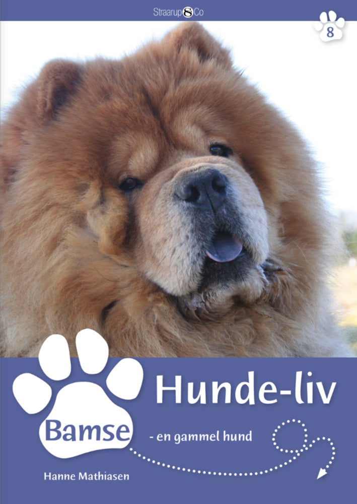 Bamse - en gammel hund