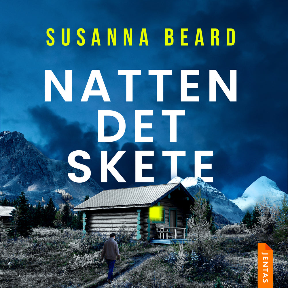 Natten det skete