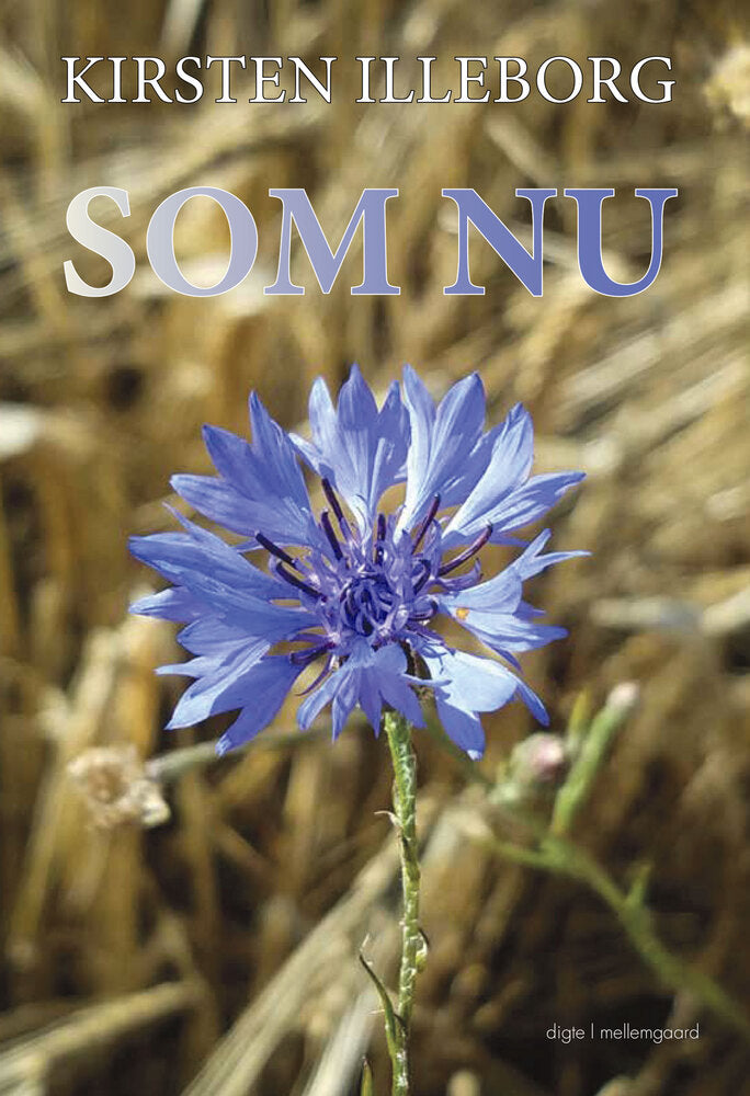 Som nu