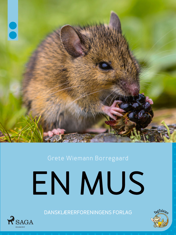 En mus