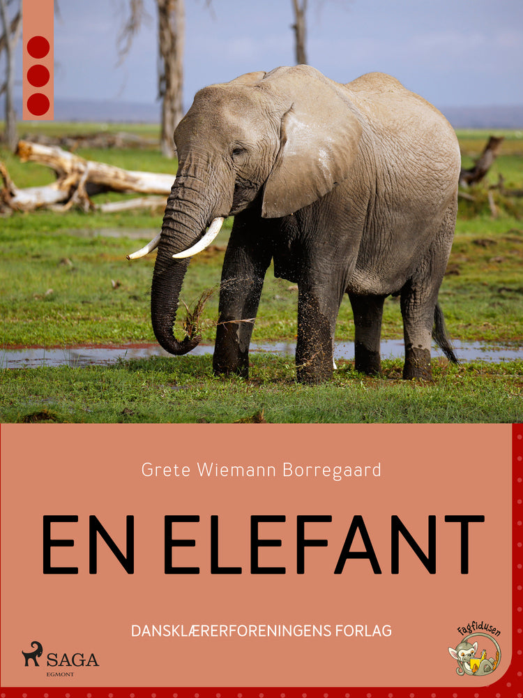 En elefant