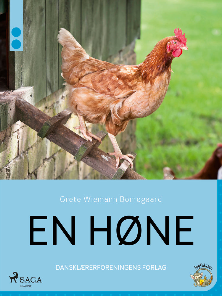 En høne