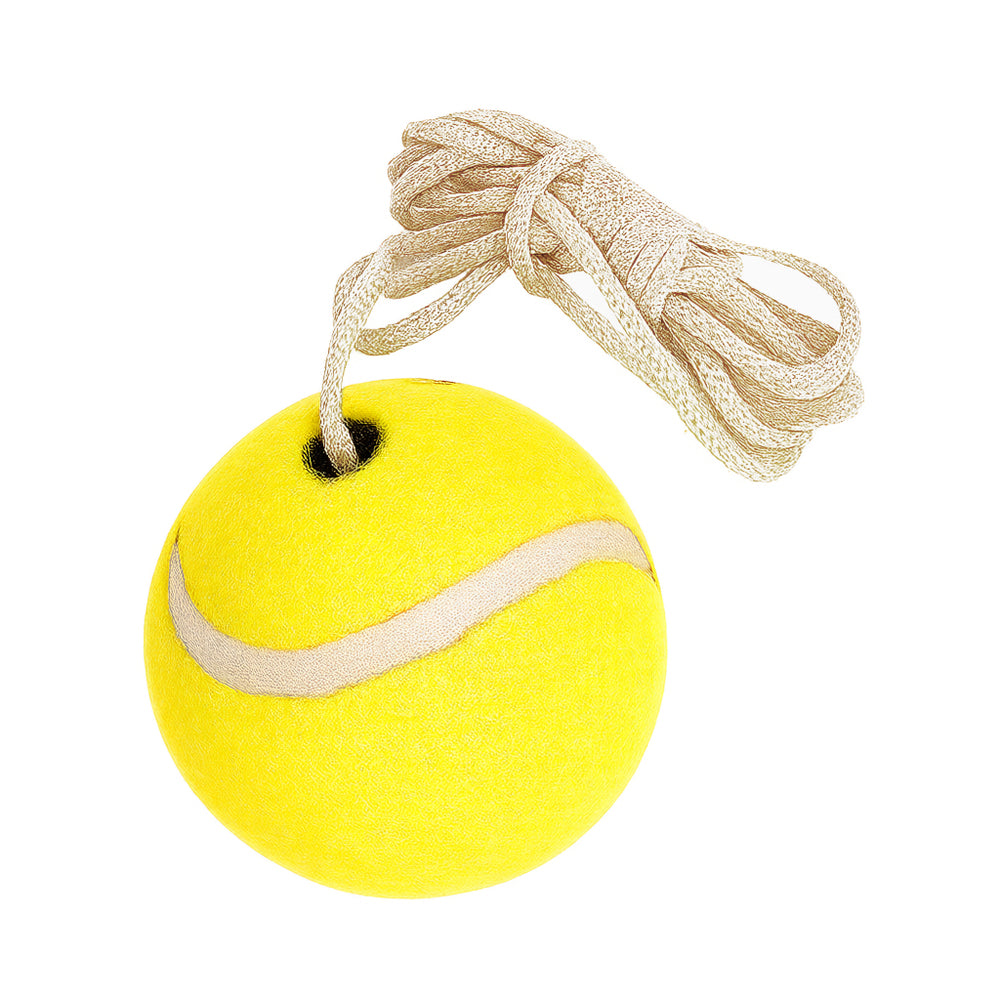 D1 LØS BOLD TIL STANGTENNIS