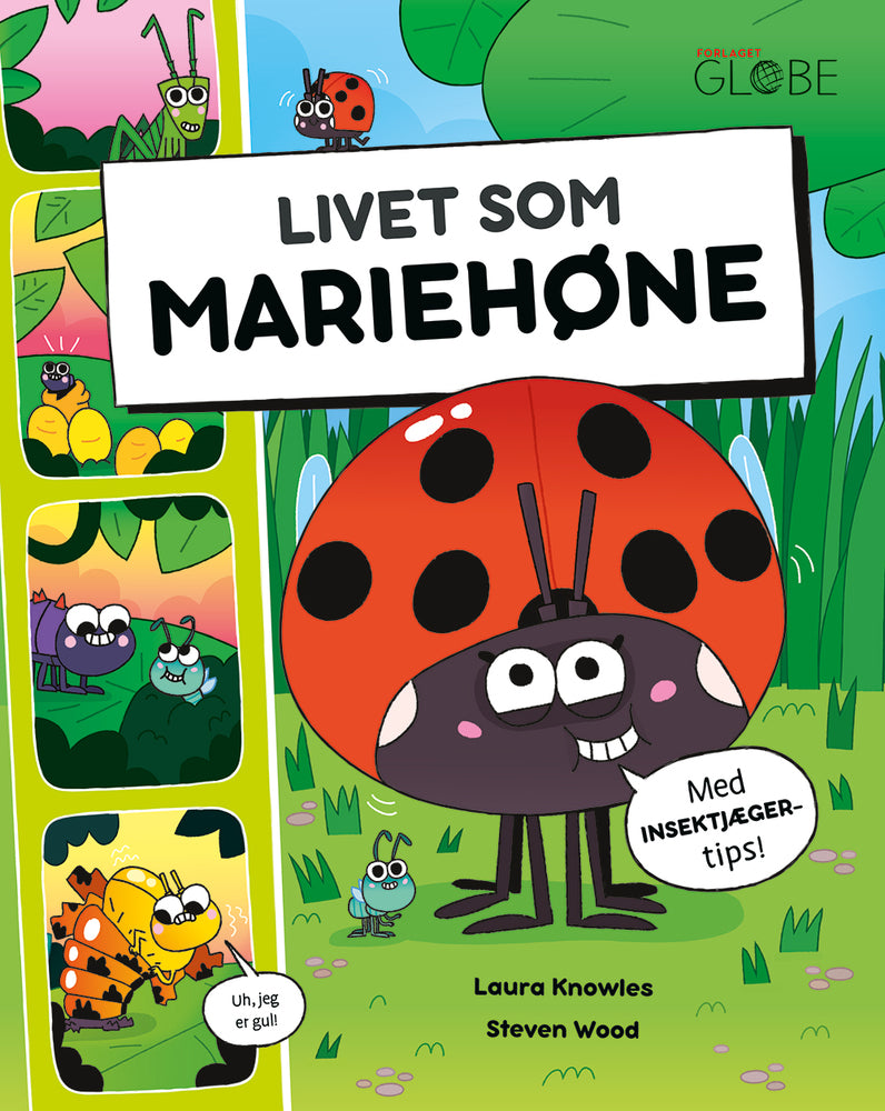 Livet som mariehøne