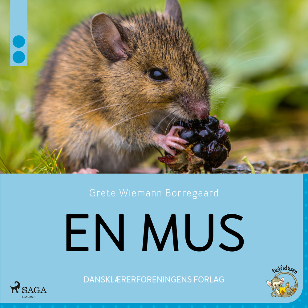 En mus