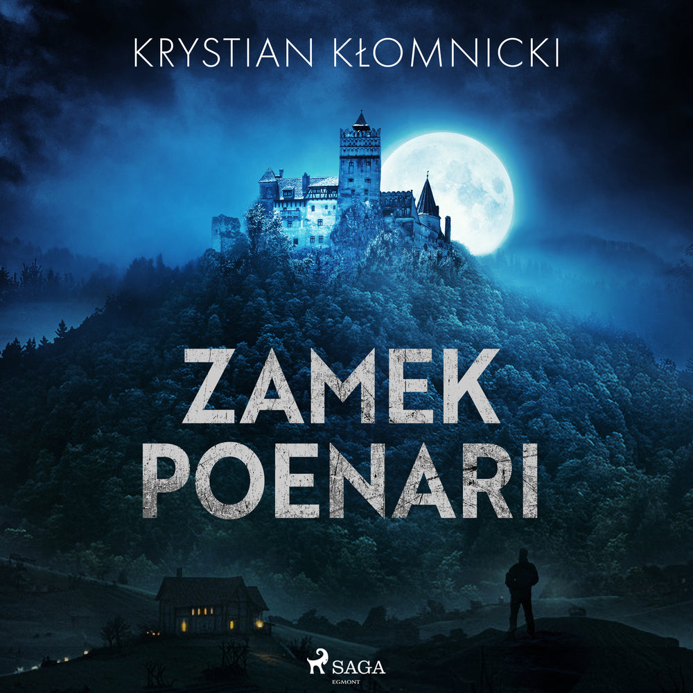 Zamek Poenari