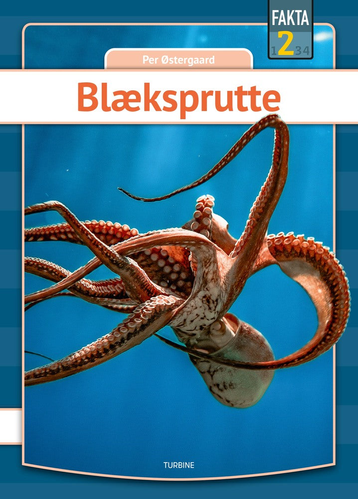 Blæksprutte